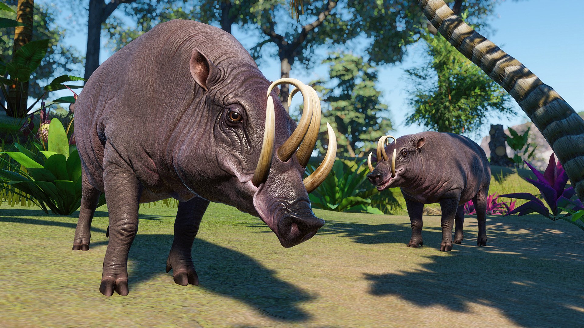 Planet Zoo: Southeast Asia Animal Pack | Hype Games